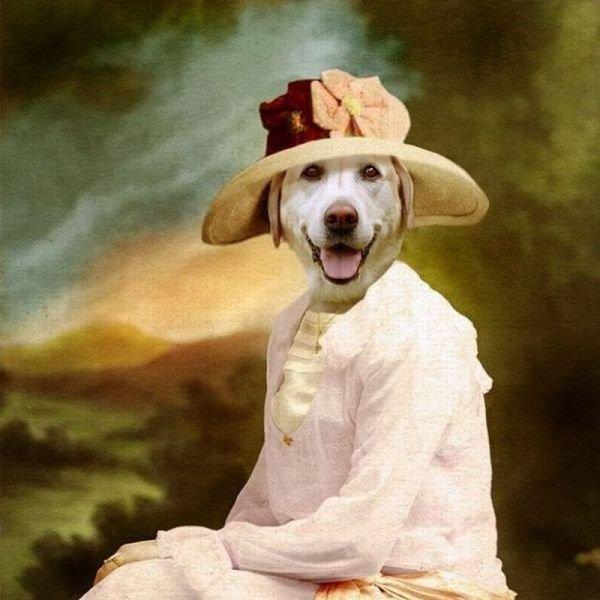 Подборка прикольных фото №3909