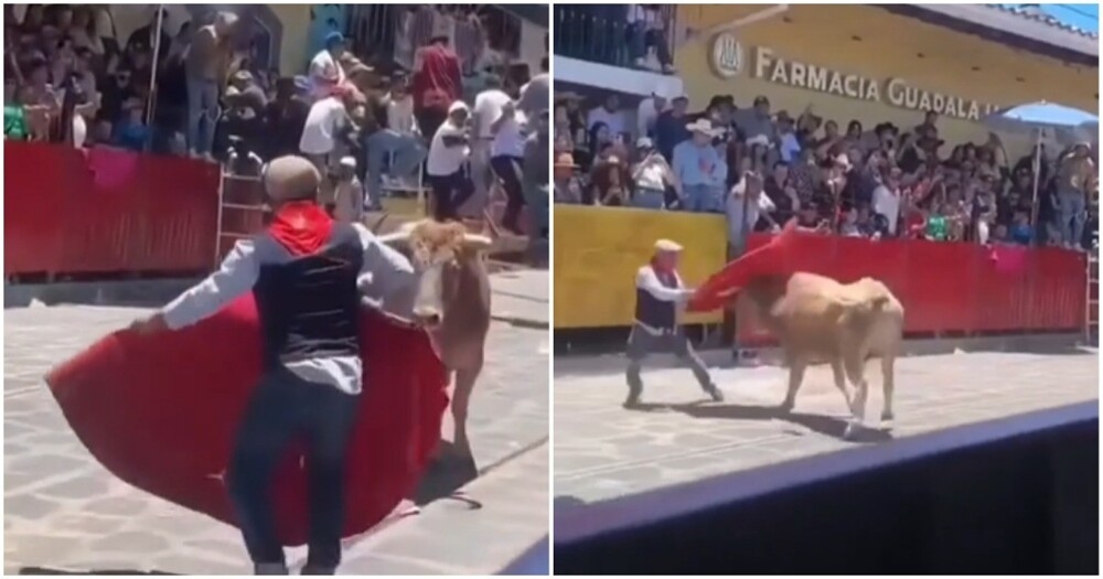 
        Друг всегда поможет    