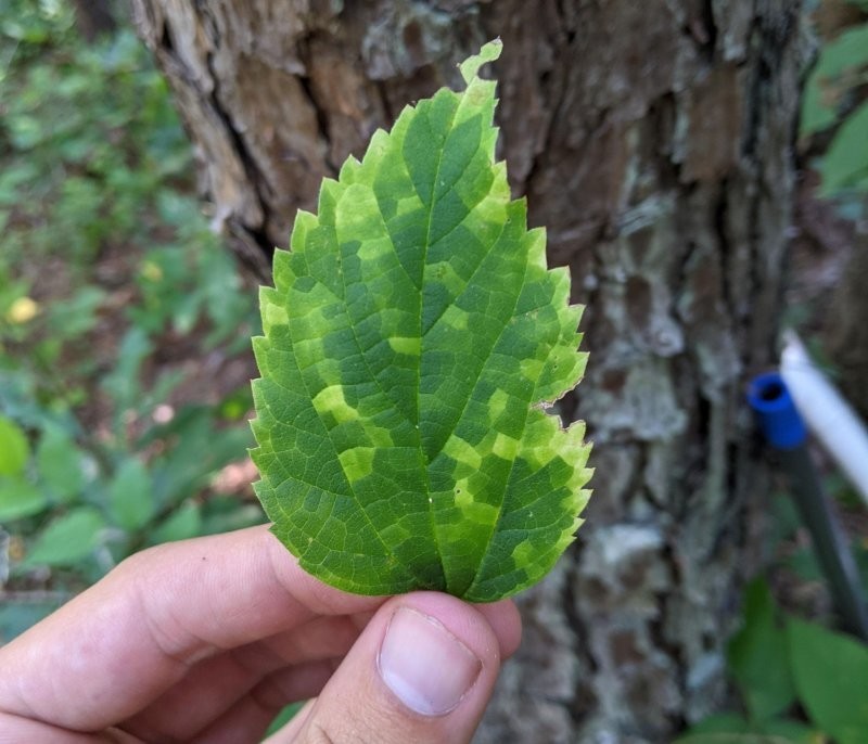 
        30&nbsp;кадров, которые заставят вас&nbsp;протереть глаза    