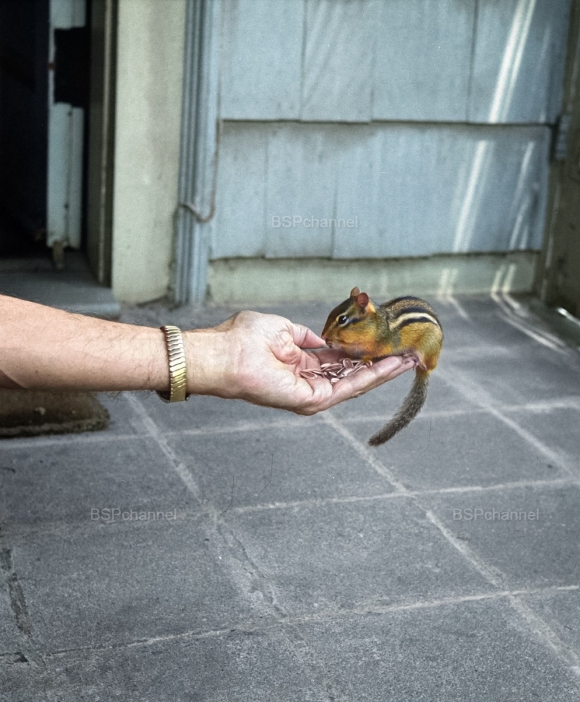 Удивительные и забавные фотографии с животными
Удивительные и забавные фотографии с животными