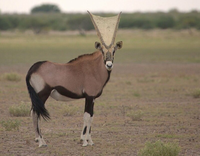 
        25&nbsp;вдохновляющих кадров, от&nbsp;которых перехватывает дыхание    