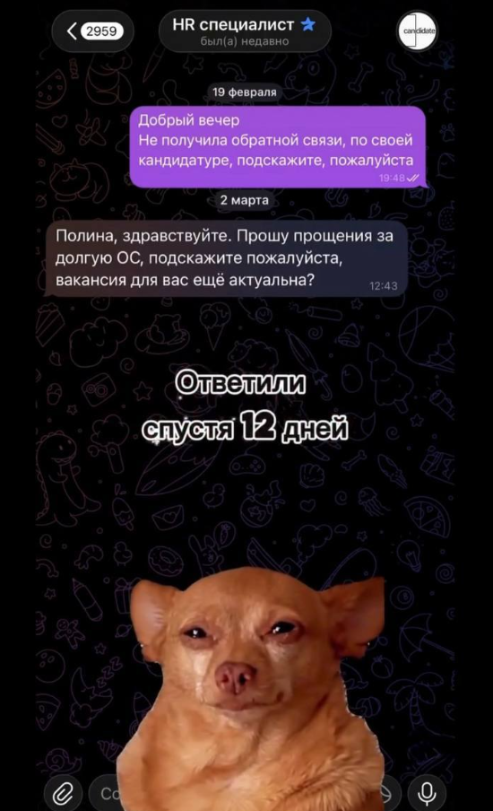 Самое обычное собеседование в 2026 году (7 фото + видео)