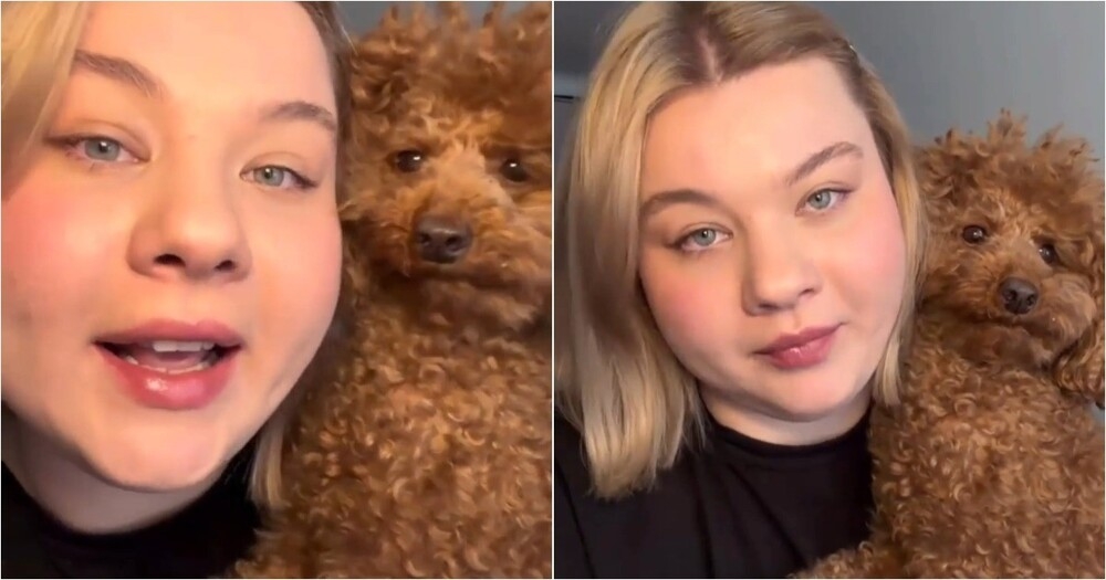 
        &laquo;Это&nbsp;собака или&nbsp;кто?&raquo;: хозяйку удивили рекомендации ветеринара по&nbsp;питанию питомца    