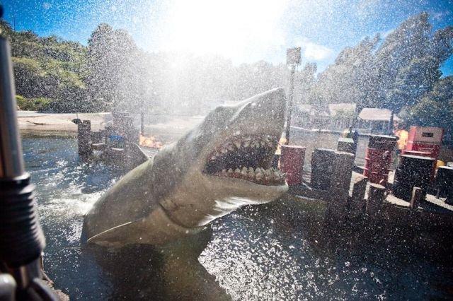 Подборка прикольных фото №3910