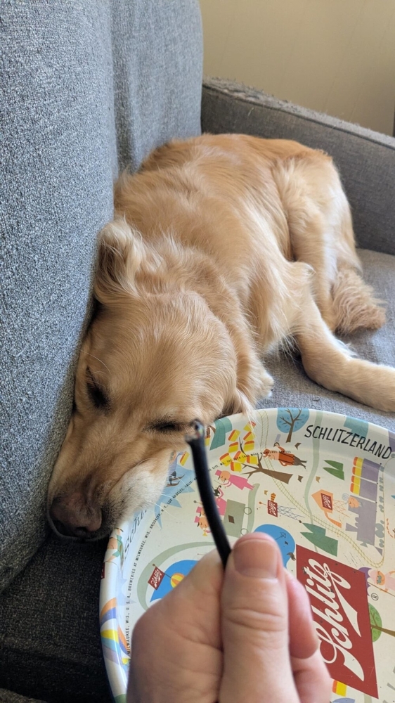 
        25&nbsp;фотороботов прелестных подозреваемых в&nbsp;совершении преступлений по&nbsp;уничтожению домашнего порядка    