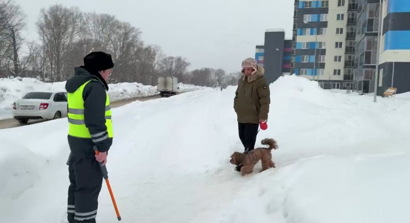 
        В&nbsp;Казани прошел рейд по&nbsp;выявлению нечипированных собак    