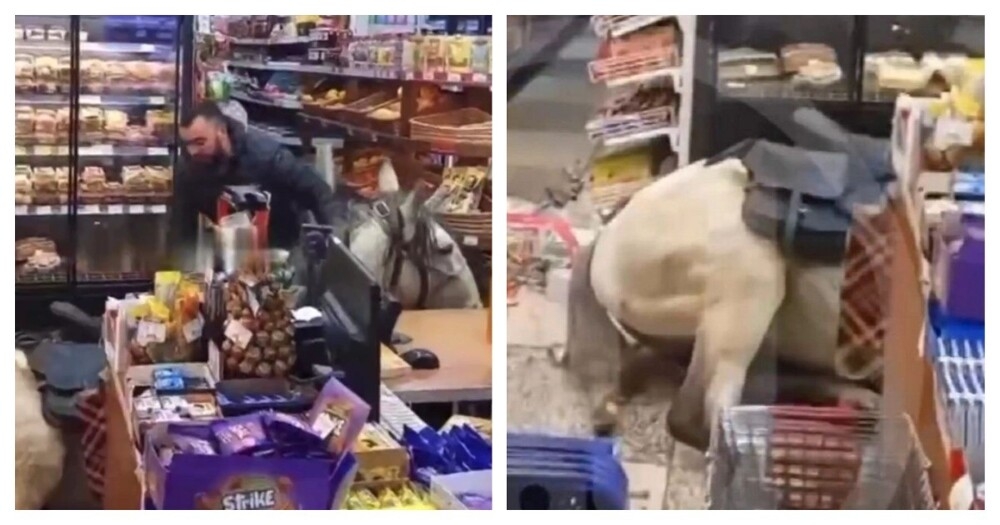 
        В&nbsp;Сочи мужчина заехал в&nbsp;магазин на&nbsp;коне    