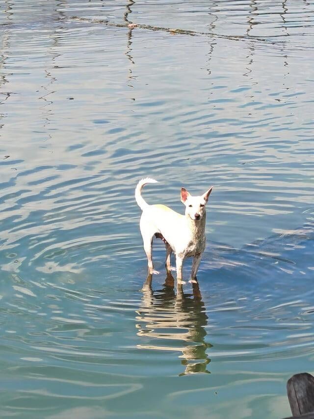 20 моментов, демонстрирующих шутки реальности
20 моментов, демонстрирующих шутки реальности