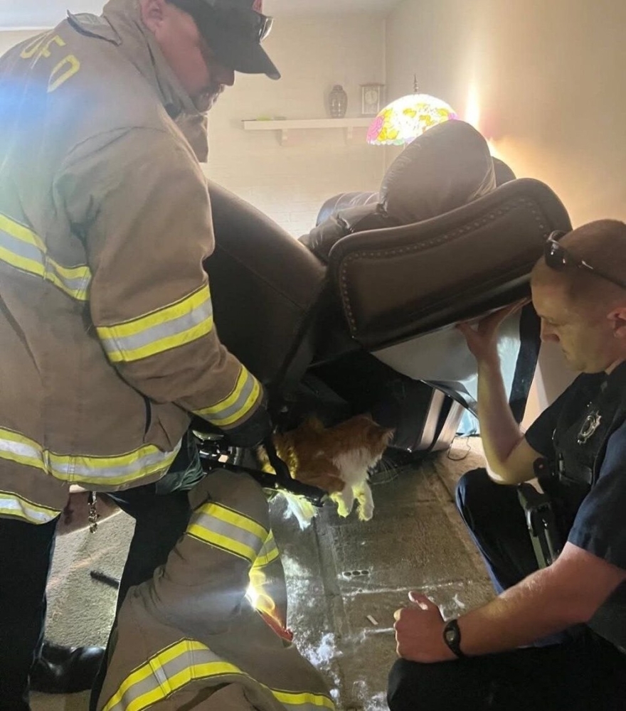 
        Толстый кот&nbsp;предпочёл застрять в&nbsp;кресле, лишь бы&nbsp;не&nbsp;ходить к&nbsp;ветеринару    