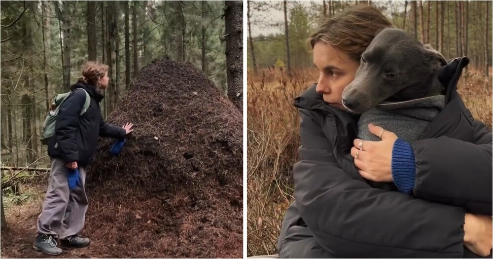 Небольшая прогулка на болото
Небольшая прогулка на болото