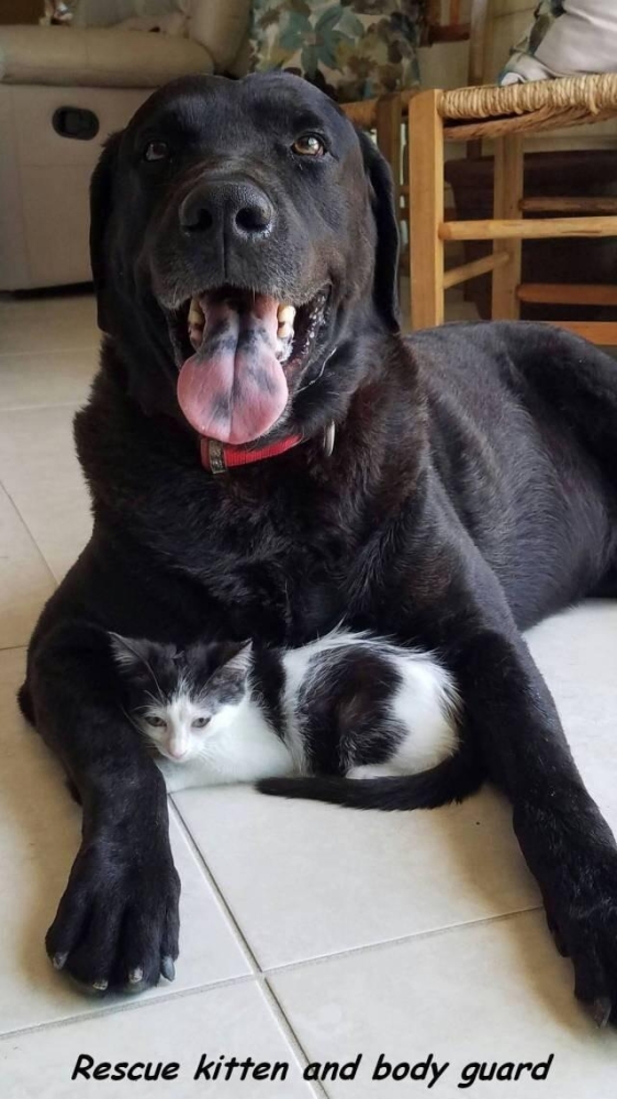 Подборка прикольных фото №3916