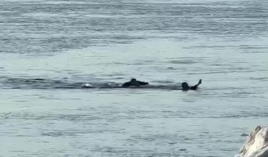 Парни устроили заплыв на льдине
Парни устроили заплыв на льдине