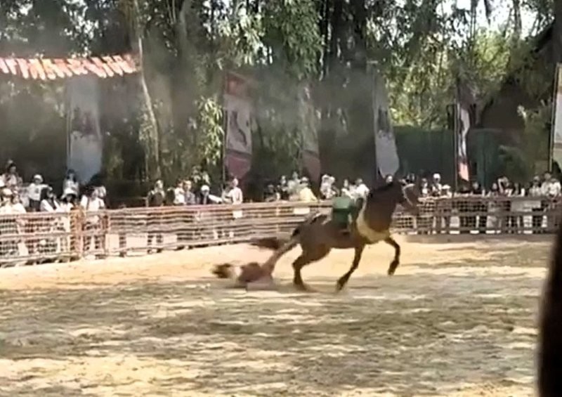 
        Лошадь протащила артистку по&nbsp;земле во&nbsp;время туристического шоу    