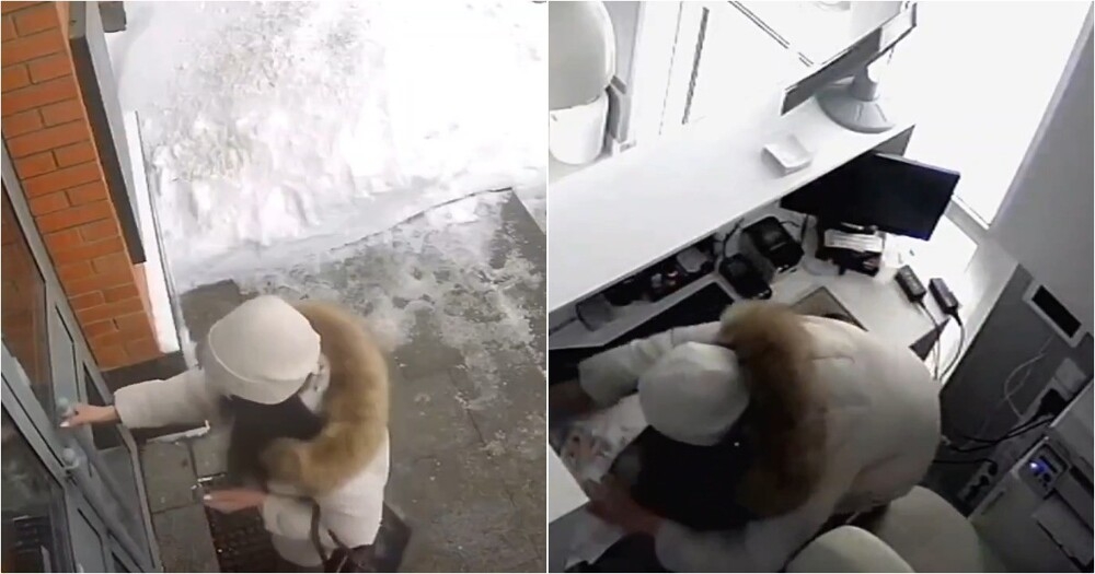 
        В&nbsp;Москве стажёр стоматологической клиники похитила из&nbsp;сейфа 500&nbsp;тысяч рублей    