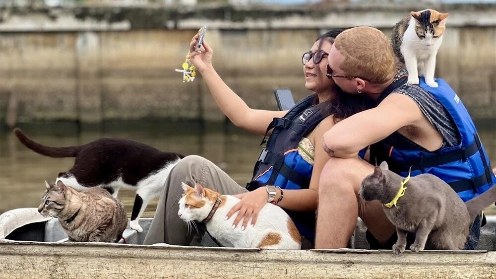 В Бангкоке мужчина катает туристов на лодках с котами
В Бангкоке мужчина катает туристов на лодках с котами