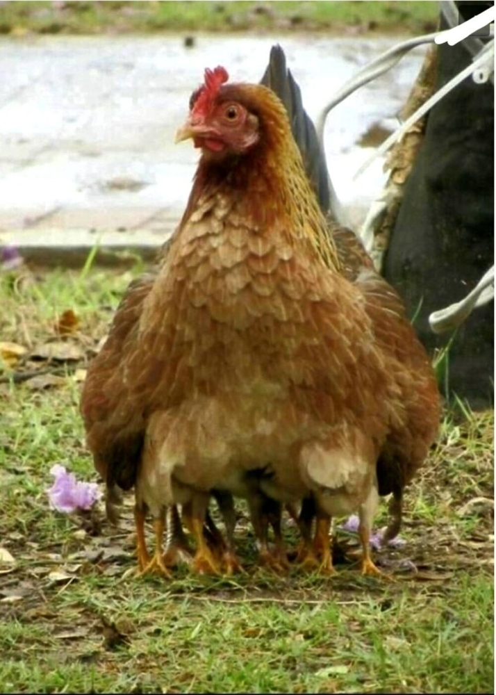 20 примеров обычной реальности, трансформирующейся в иллюзию
20 примеров обычной реальности, трансформирующейся в иллюзию