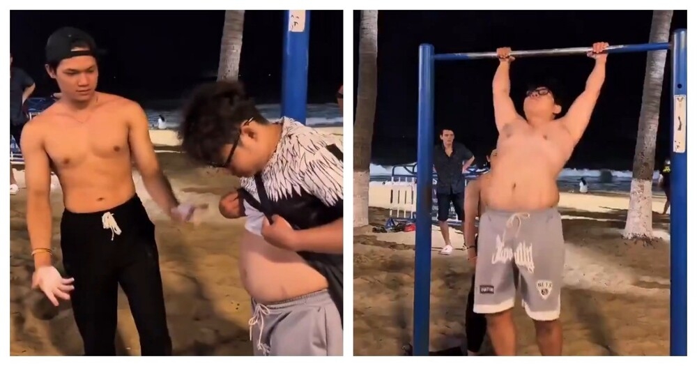 Пузатый турникмен
Пузатый турникмен