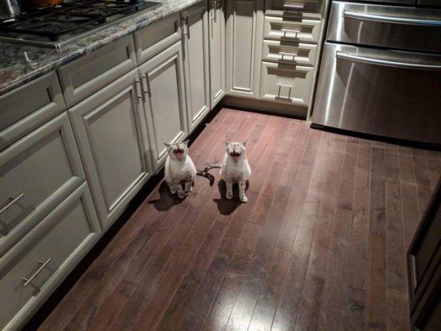 Подборка прикольных фото №3908