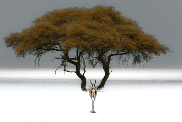 Подборка прикольных фото №3917