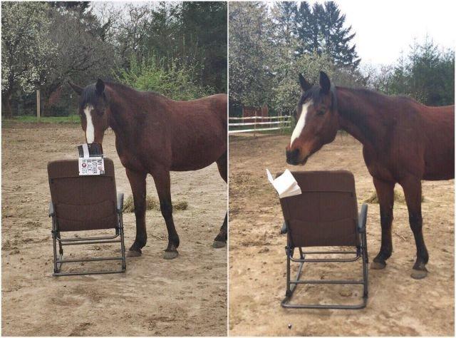 Подборка прикольных фото №3903