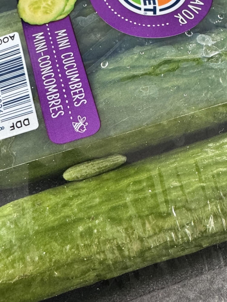 
        30&nbsp;кадров, которые заставят вас&nbsp;протереть глаза    