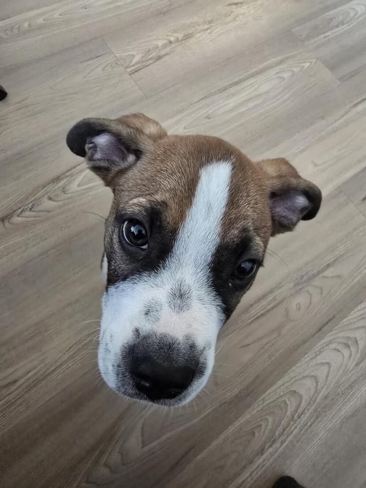 20 моментов, демонстрирующих шутки реальности
20 моментов, демонстрирующих шутки реальности