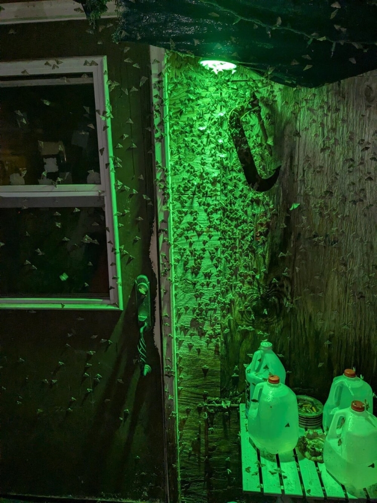 
        30&nbsp;кадров, которые заставят вас&nbsp;протереть глаза    