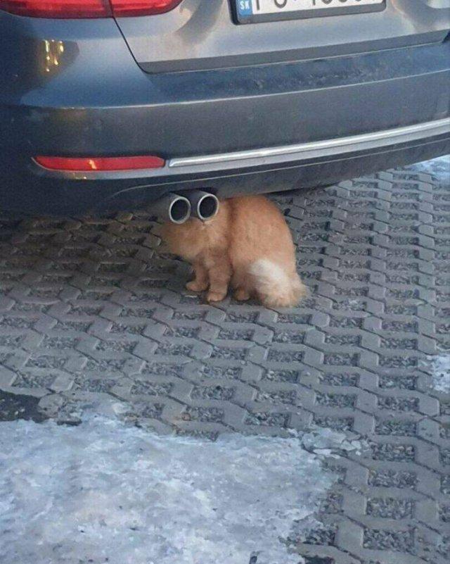 Подборка прикольных фото №3913