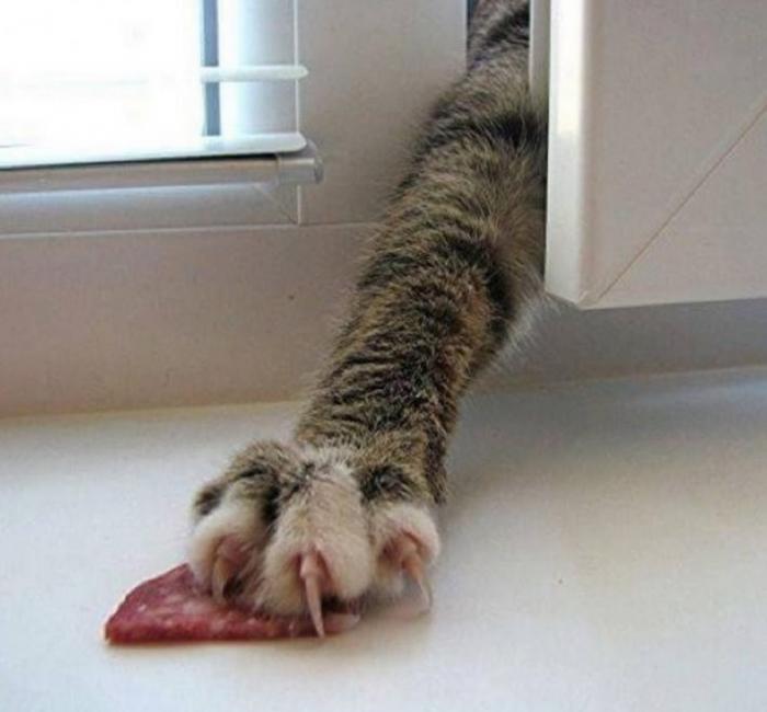 Подборка прикольных фото №3904