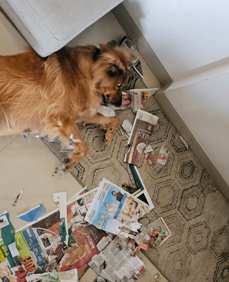 
        25&nbsp;фотороботов прелестных подозреваемых в&nbsp;совершении преступлений по&nbsp;уничтожению домашнего порядка    