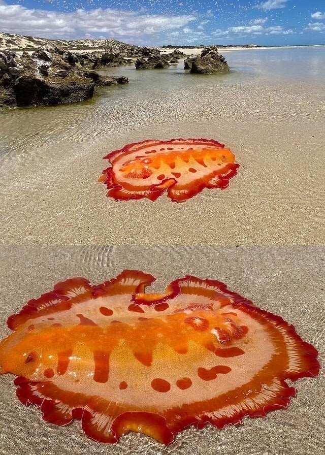 25 фотографий, после просмотра которых захочется купить палатку и уехать в лес
25 фотографий, после просмотра которых захочется купить палатку и уехать в лес