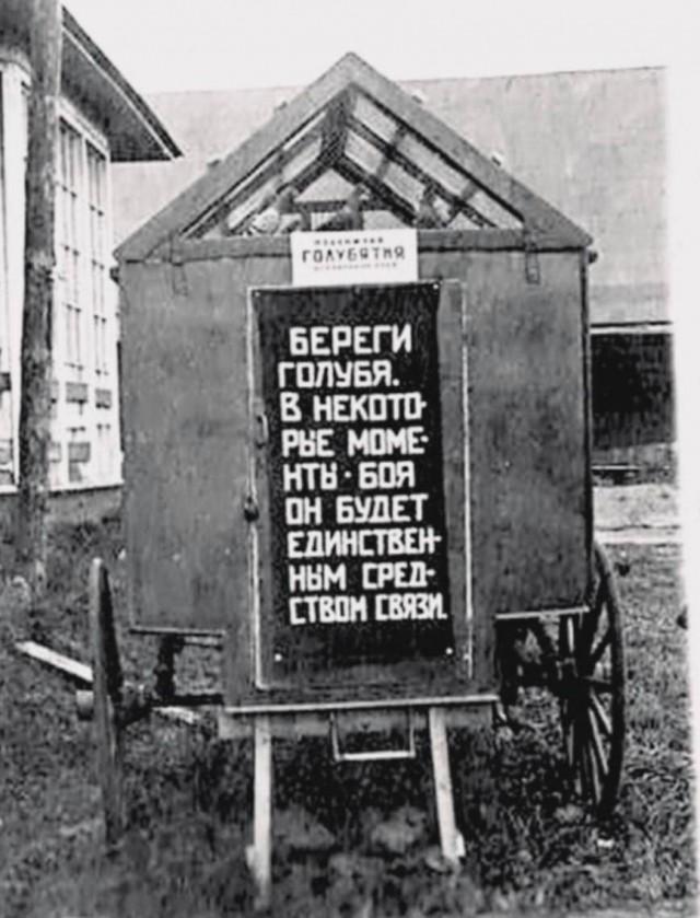 Подборка прикольных фото №3907