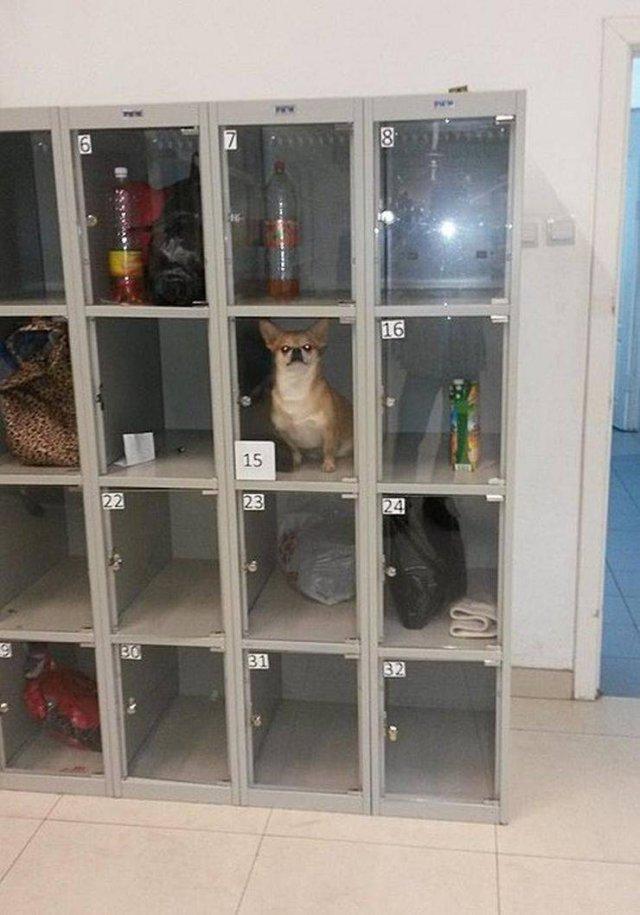 Подборка прикольных фото №3908