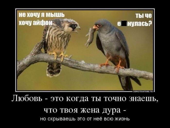 
			Демотиваторы №3791 (20 фото)