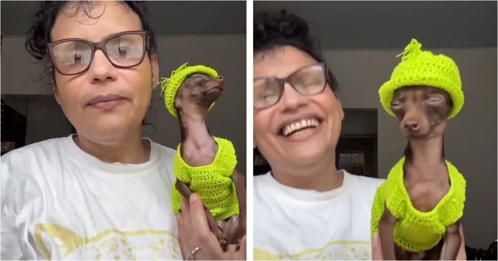 
        Яркий костюм превращает собачку в&nbsp;мини-Снуп Дога    