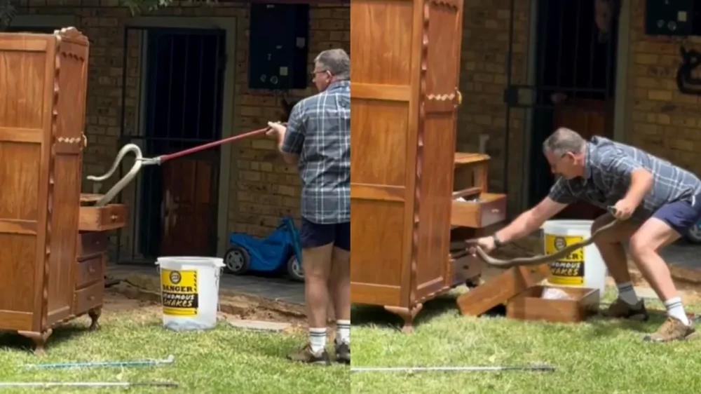 
        Нежданный &laquo;сосед&raquo;: туристы открыли шкаф и&nbsp;нашли одну из&nbsp;самых опасных змей в&nbsp;мире    