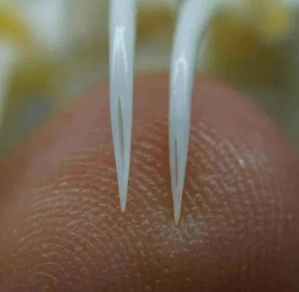 
        23&nbsp;веских причины заново влюбиться в&nbsp;эту&nbsp;планету    