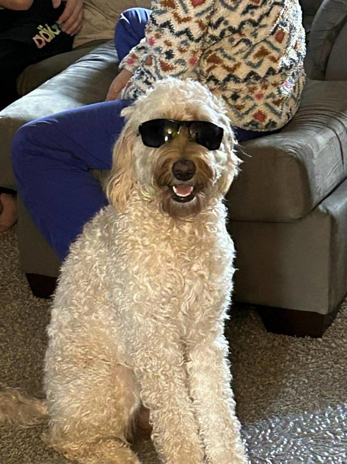 Подборка прикольных фото №3915