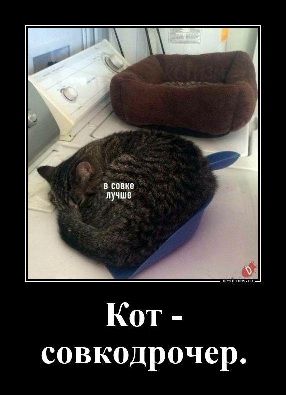 
			Демотиваторы №3788 (20 фото)