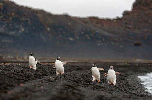 Фёдор Конюхов завершил 4‑месячную одиночную экспедицию в Антарктиде (7 фото + видео)