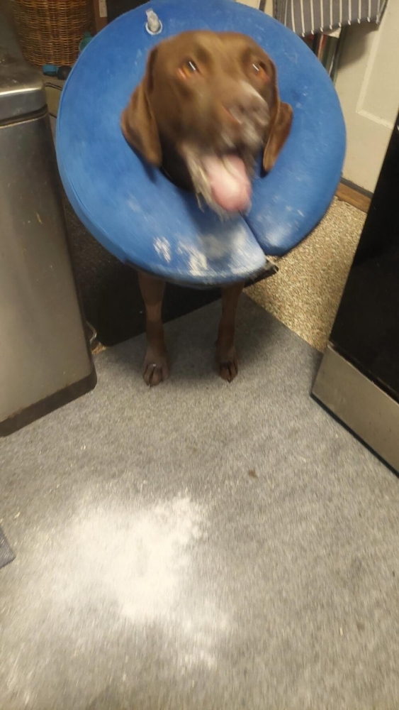 
        25&nbsp;фотороботов прелестных подозреваемых в&nbsp;совершении преступлений по&nbsp;уничтожению домашнего порядка    