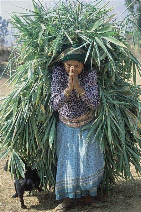 Подборка прикольных фото №3900