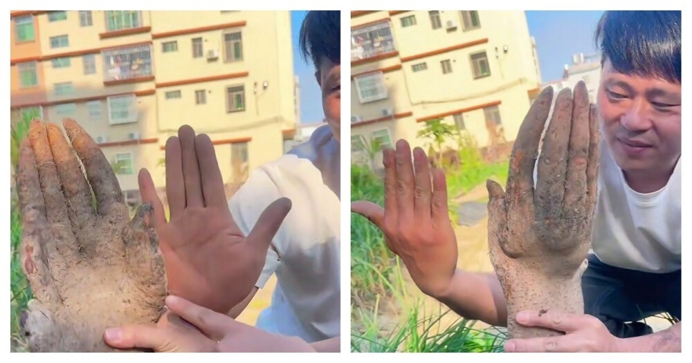 Китаец выкопал овощ, похожий на человеческую руку
Китаец выкопал овощ, похожий на человеческую руку