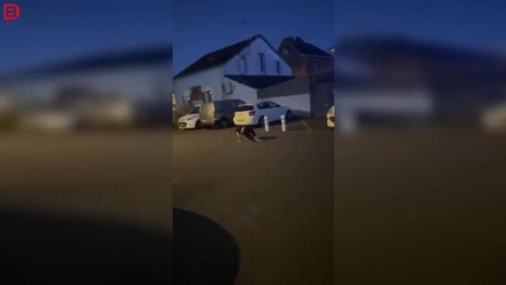 
        Сильный удар дезориентировал мужчину во&nbsp;время конфликта    