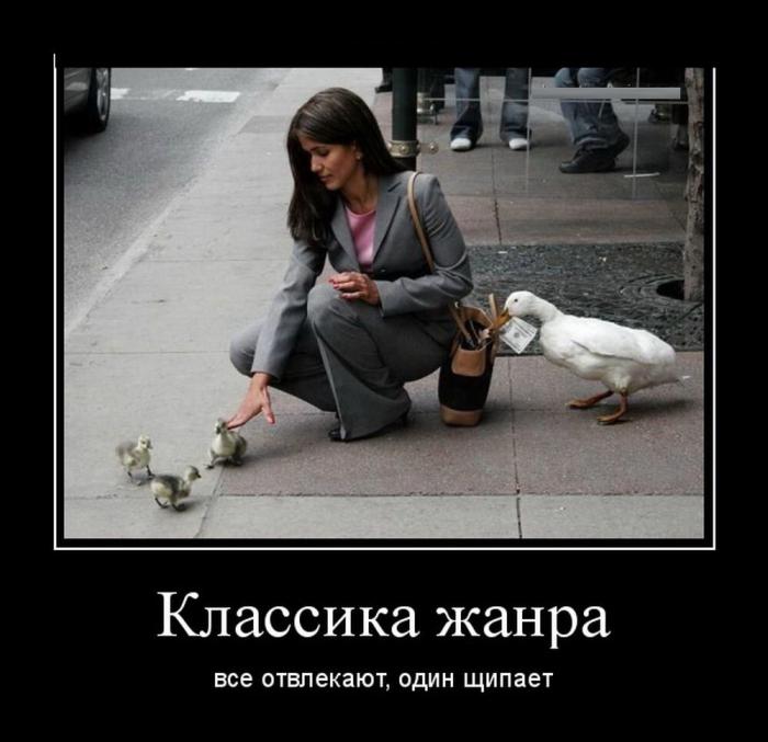 
			Демотиваторы №3788 (20 фото)