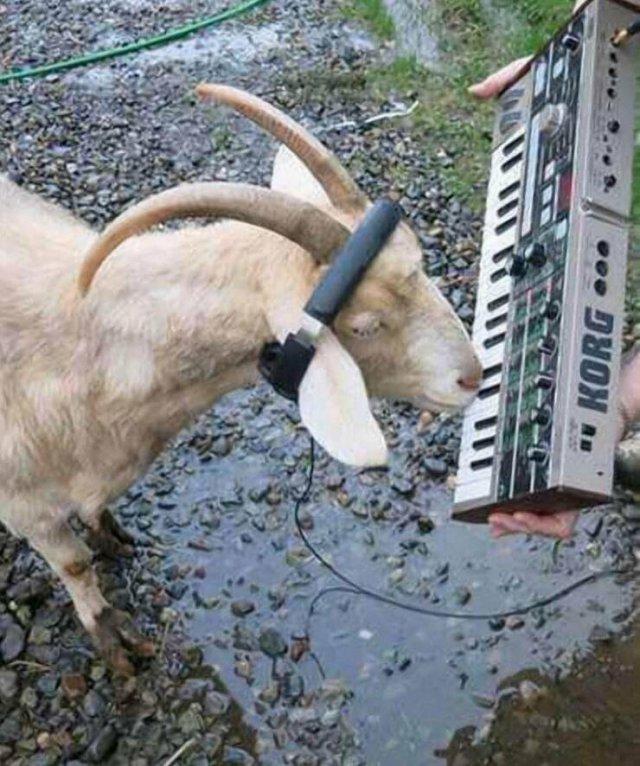 Подборка прикольных фото №3912