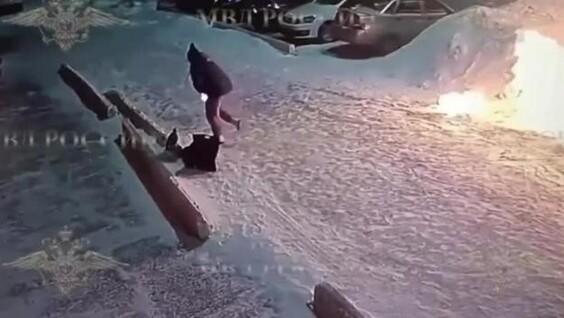 
        В&nbsp;Новокузнецке женщина пыталась сжечь полицейскую машину    