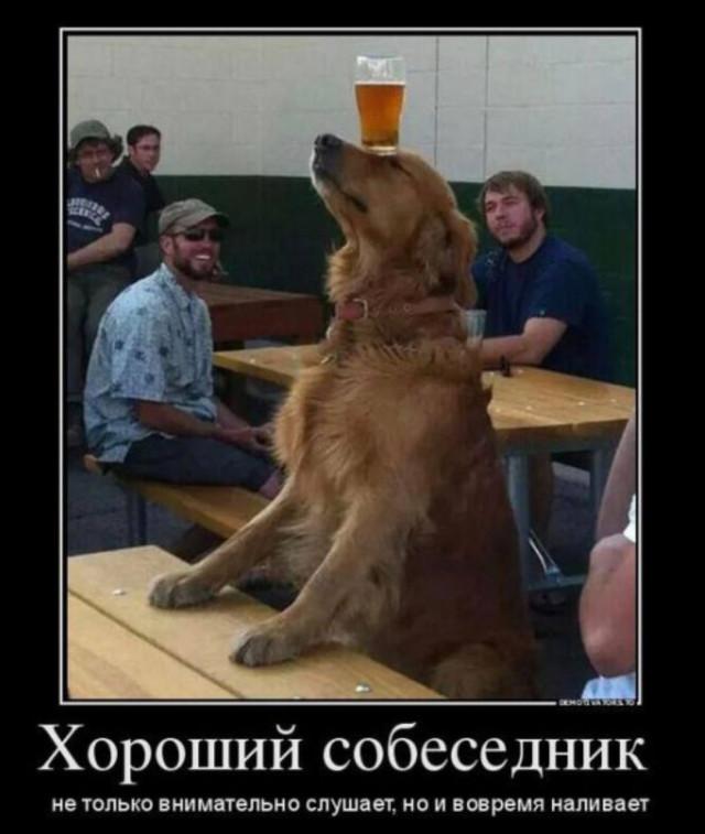 
			Демотиваторы №3791 (20 фото)