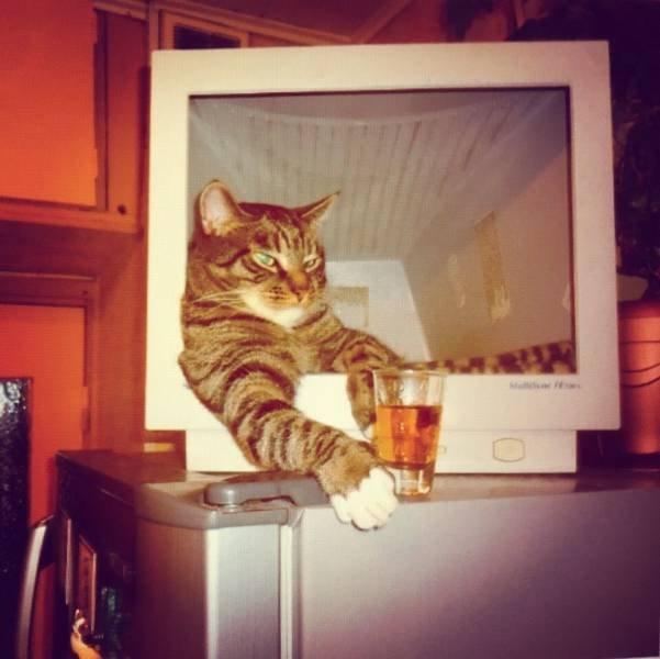 Подборка прикольных фото №3908