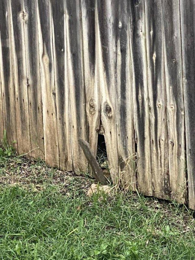 Подборка прикольных фото №3901